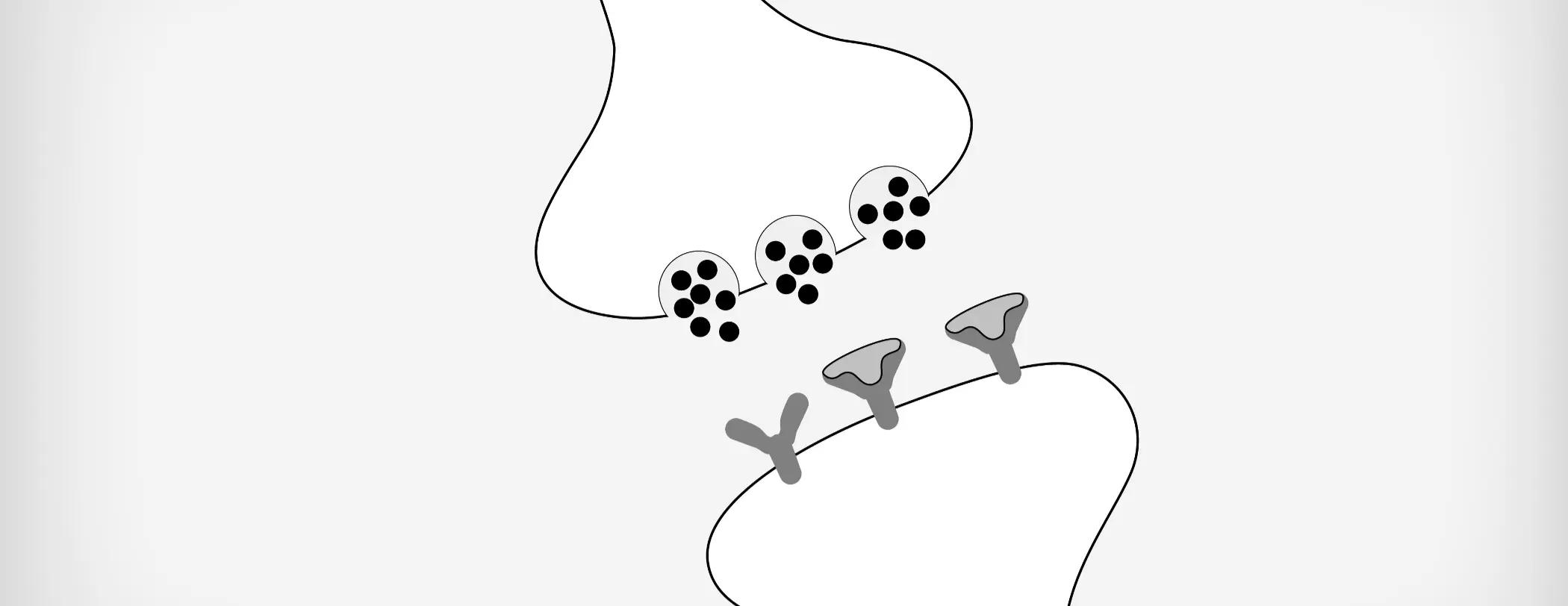 A Deep Dive Into the Neurobiology of Tardive Dyskinesia and Drug-Induced Parkinsonism