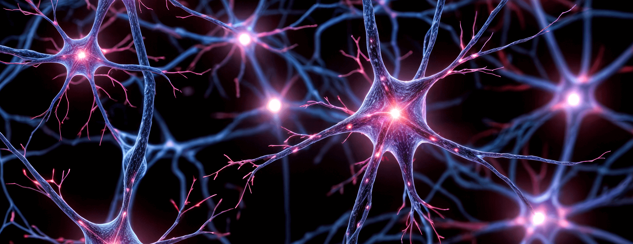 Considerations Regarding the Mechanism of Action of Vesicular Monoamine Transporter 2 Inhibitors and Anticholinergics in Tardive Dyskinesia and Drug-Induced Parkinsonism